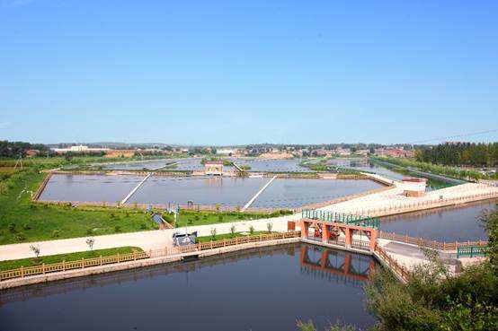 人为湿地水质净化工程 人为湿地水质净化工程